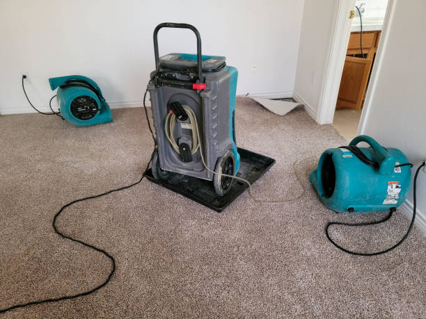 Best Water damage restoration experts  in Rshfield Hills, MA