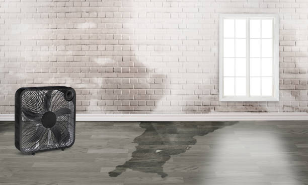 Best Fire Damage Restoration  in Rshfield Hills, MA