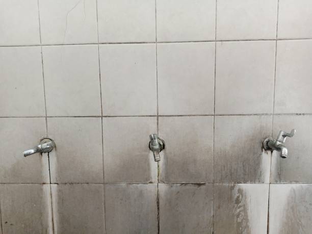 Best Flooded house restoration  in Rshfield Hills, MA