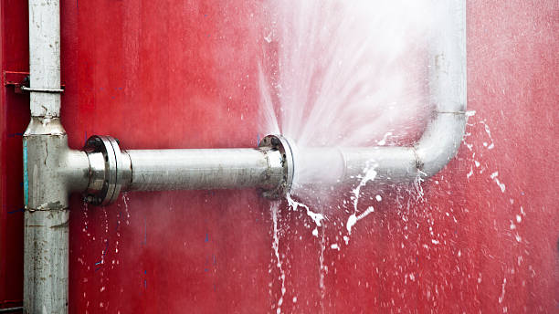 Best Mold removal after water damage  in Rshfield Hills, MA