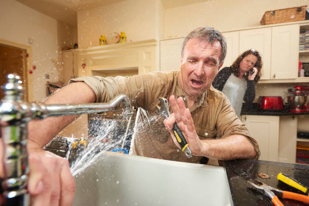 Best Professional water damage repair  in Rshfield Hills, MA